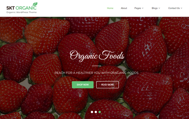 SKT Organic Store - Ecommerce WordPress Theme